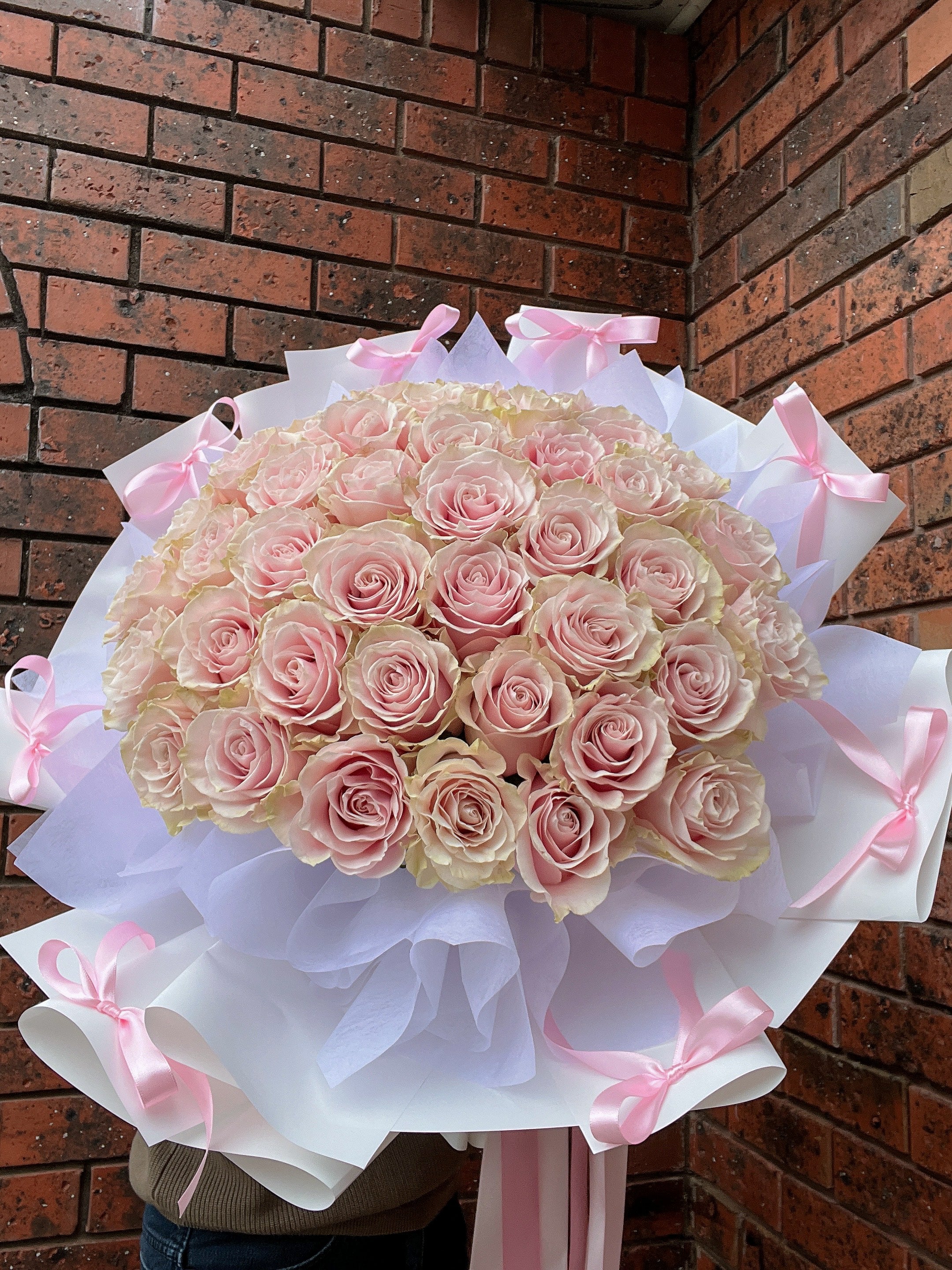 Valentine Pink rose