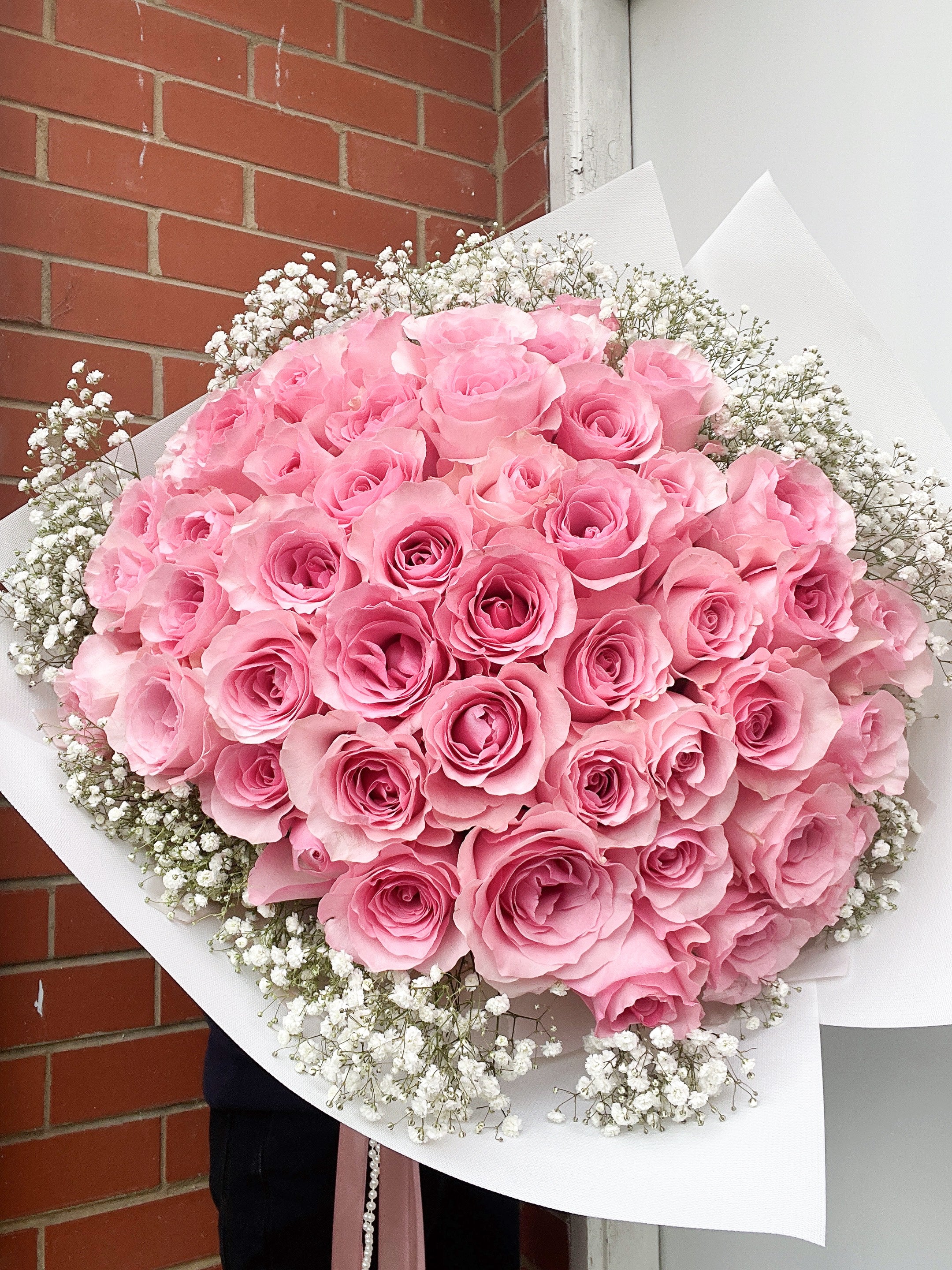 Valentine Pink rose